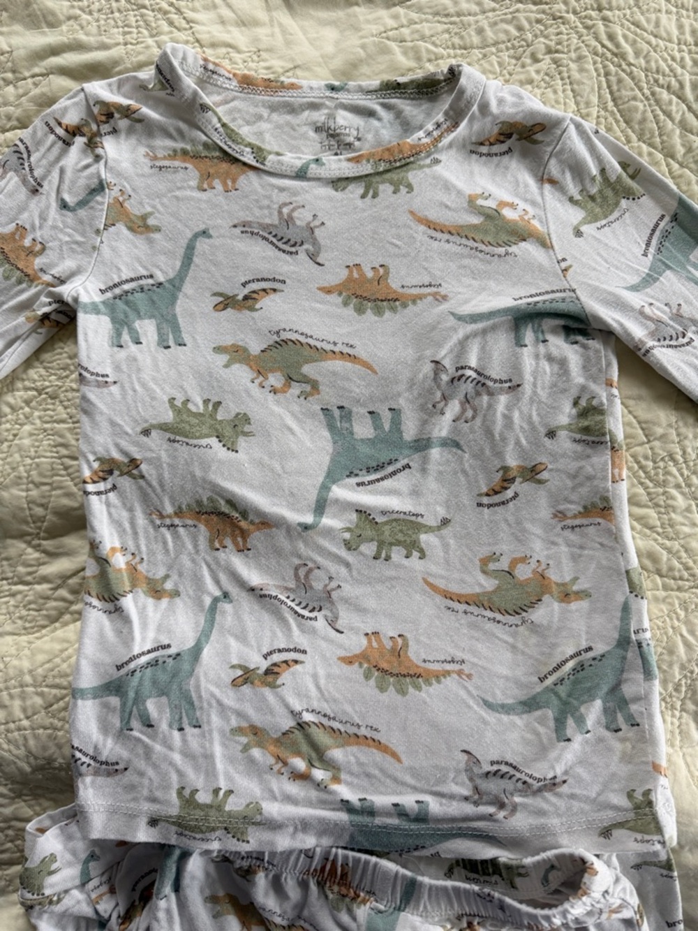 Kids Dinosaur Print Pajama Set - Green & Tan